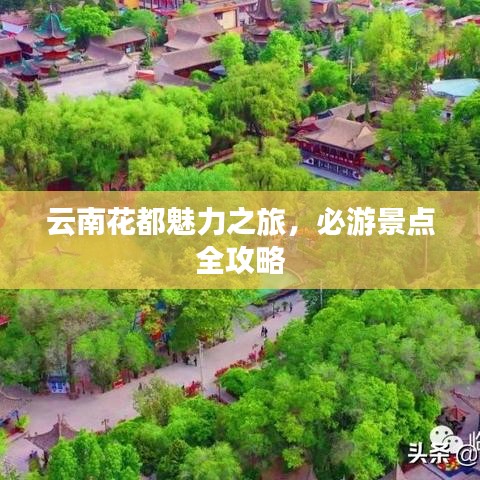 云南花都魅力之旅，必游景点全攻略
