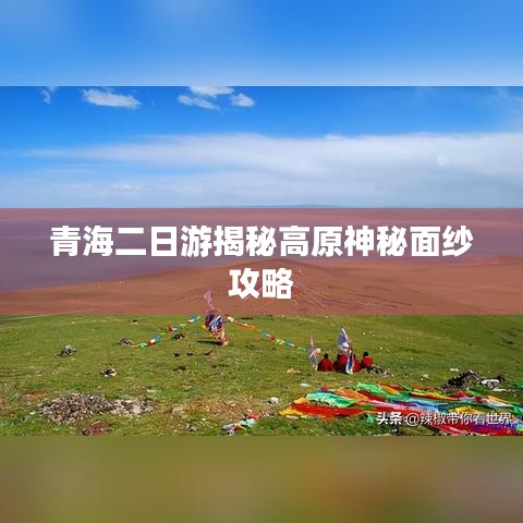 地老天荒 第2页