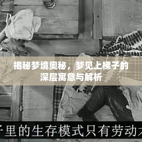 如花似玉