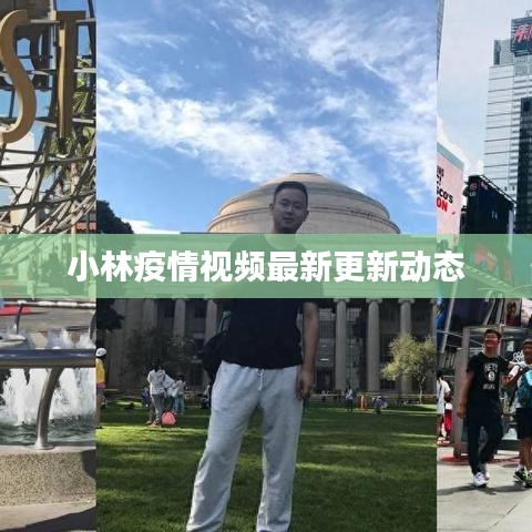 小林疫情视频最新更新动态