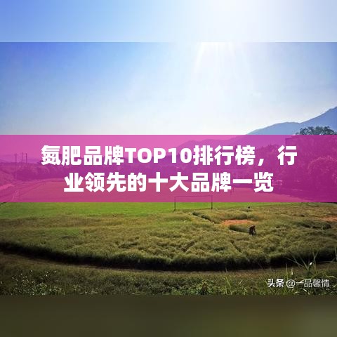氮肥品牌TOP10排行榜，行业领先的十大品牌一览