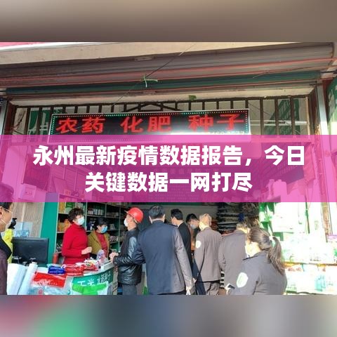 永州最新疫情数据报告，今日关键数据一网打尽