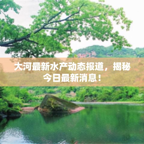 大河最新水产动态报道，揭秘今日最新消息！
