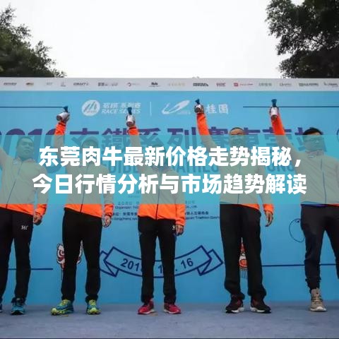 东莞肉牛最新价格走势揭秘，今日行情分析与市场趋势解读
