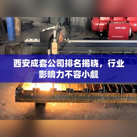 西安成套公司排名揭晓，行业影响力不容小觑