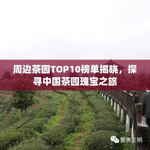 雅量高致 第2页