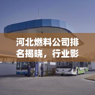 河北燃料公司排名揭晓，行业影响力不容小觑