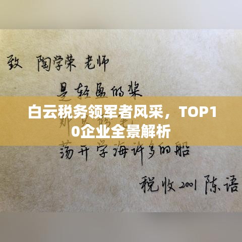白云税务领军者风采，TOP10企业全景解析