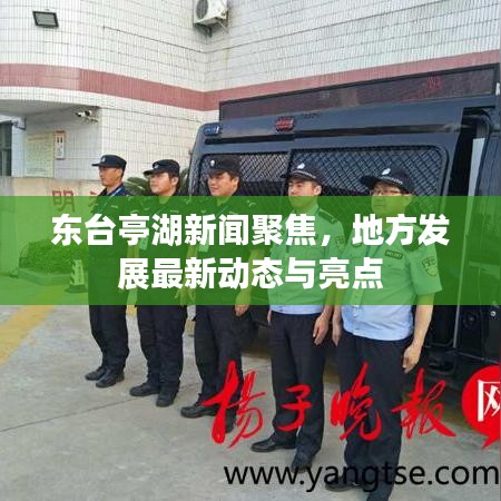 东台亭湖新闻聚焦，地方发展最新动态与亮点