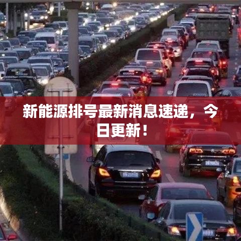新能源排号最新消息速递，今日更新！