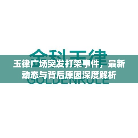 玉律广场突发打架事件，最新动态与背后原因深度解析