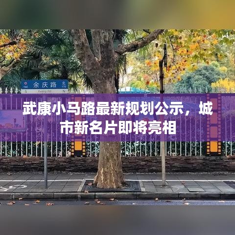 武康小马路最新规划公示，城市新名片即将亮相