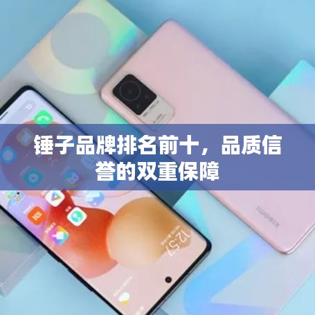 锤子品牌排名前十，品质信誉的双重保障