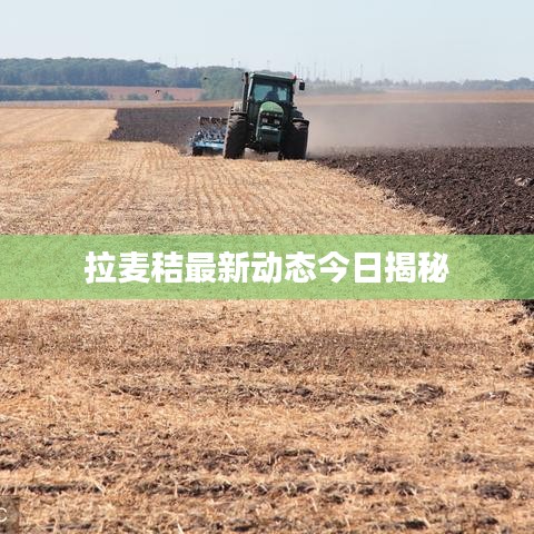 拉麦秸最新动态今日揭秘