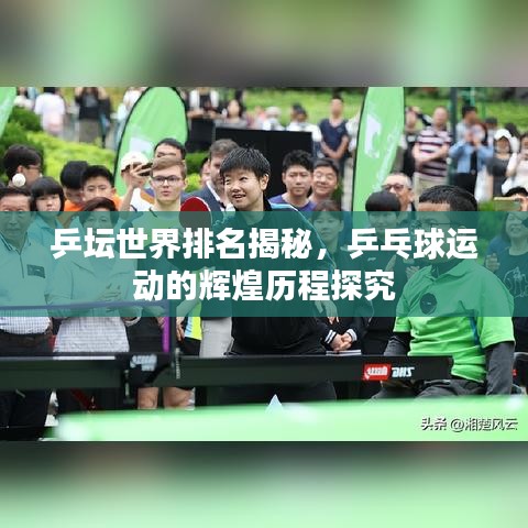 乒坛世界排名揭秘，乒乓球运动的辉煌历程探究