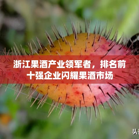 浙江果酒产业领军者，排名前十强企业闪耀果酒市场