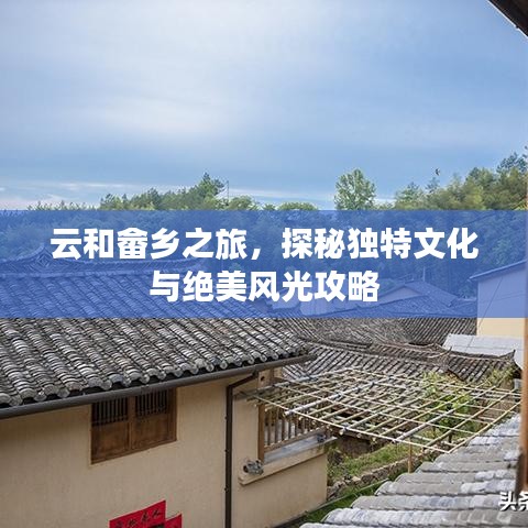 云和畲乡之旅，探秘独特文化与绝美风光攻略