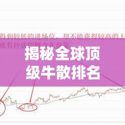 揭秘全球顶级牛散排名，投资大师盈利秘诀大公开！