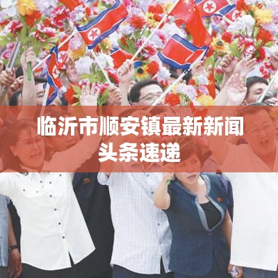 临沂市顺安镇最新新闻头条速递