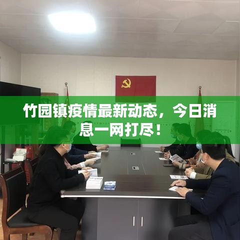 竹园镇疫情最新动态，今日消息一网打尽！