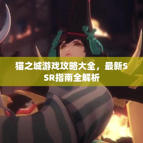 猫之城游戏攻略大全，最新SSR指南全解析