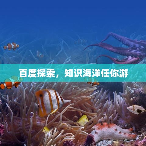 百度探索，知识海洋任你游