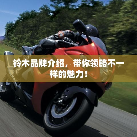 铃木品牌介绍，带你领略不一样的魅力！