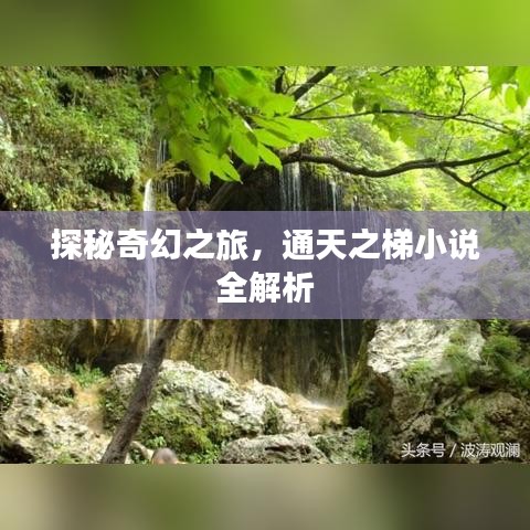探秘奇幻之旅，通天之梯小说全解析