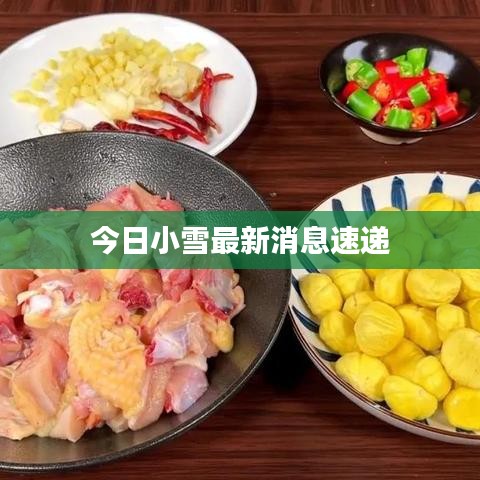 今日小雪最新消息速递