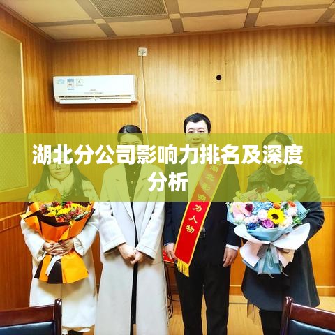 湖北分公司影响力排名及深度分析