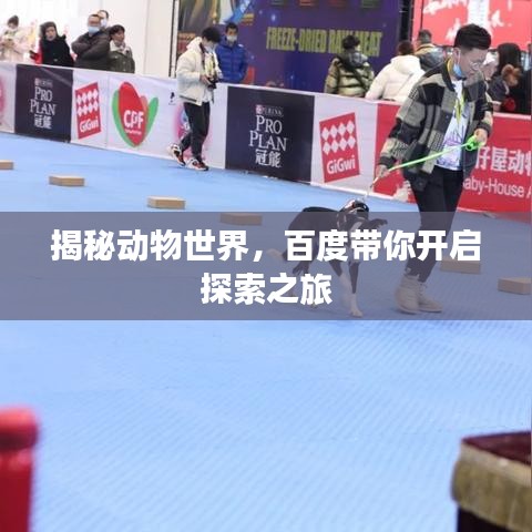 揭秘动物世界，百度带你开启探索之旅