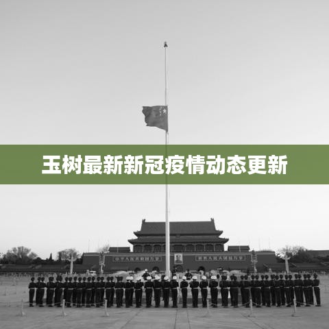 玉树最新新冠疫情动态更新