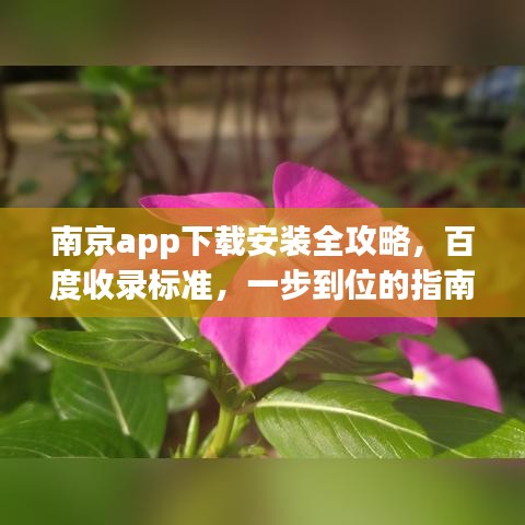 南京app下载安装全攻略，百度收录标准，一步到位的指南