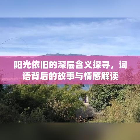 阳光依旧的深层含义探寻，词语背后的故事与情感解读