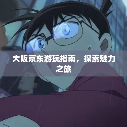 大阪京东游玩指南，探索魅力之旅