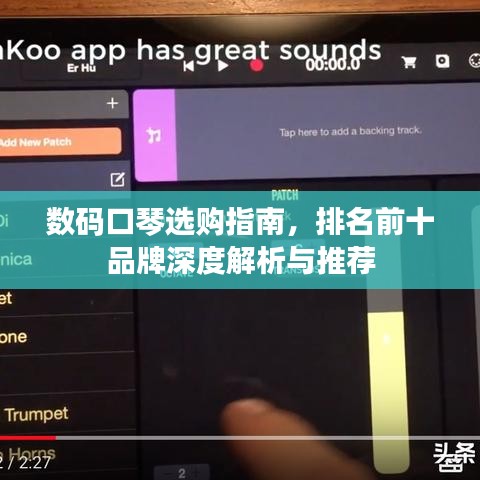 数码口琴选购指南，排名前十品牌深度解析与推荐