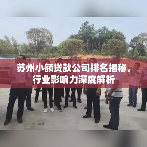 苏州小额贷款公司排名揭秘，行业影响力深度解析