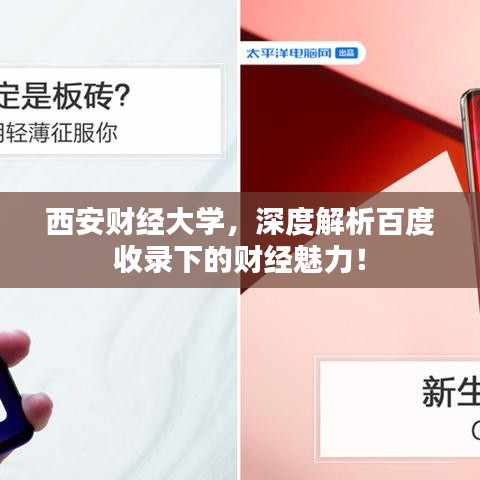 西安财经大学，深度解析百度收录下的财经魅力！