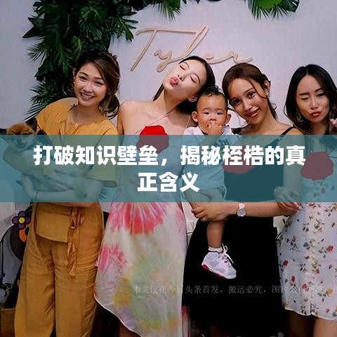 打破知识壁垒，揭秘桎梏的真正含义