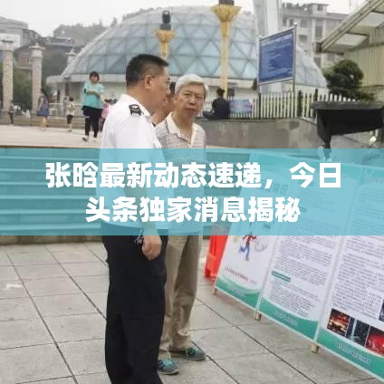 张晗最新动态速递，今日头条独家消息揭秘