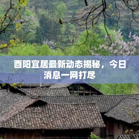 酉阳宜居最新动态揭秘，今日消息一网打尽