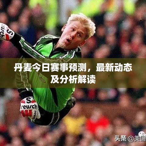 丹麦今日赛事预测，最新动态及分析解读
