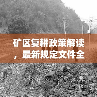 矿区复耕政策解读，最新规定文件全面梳理与要点解析