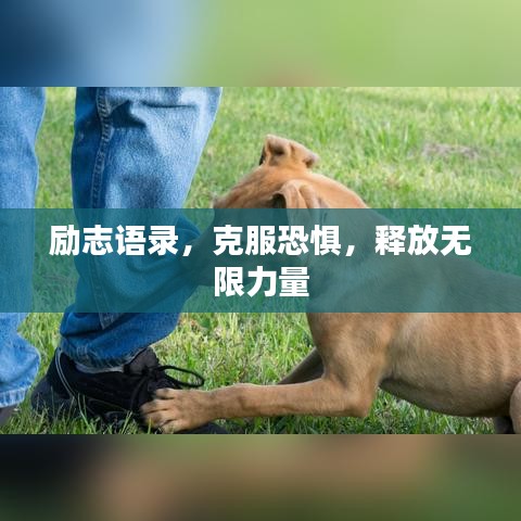 励志语录，克服恐惧，释放无限力量
