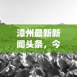 漳州最新新闻头条，今日热点资讯汇总