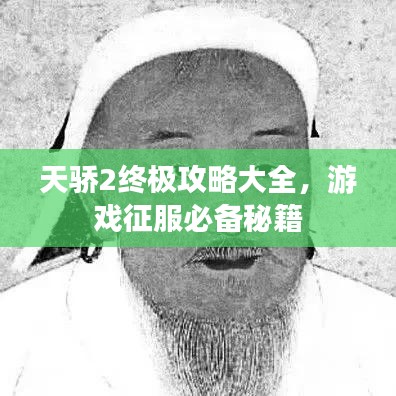天骄2终极攻略大全，游戏征服必备秘籍