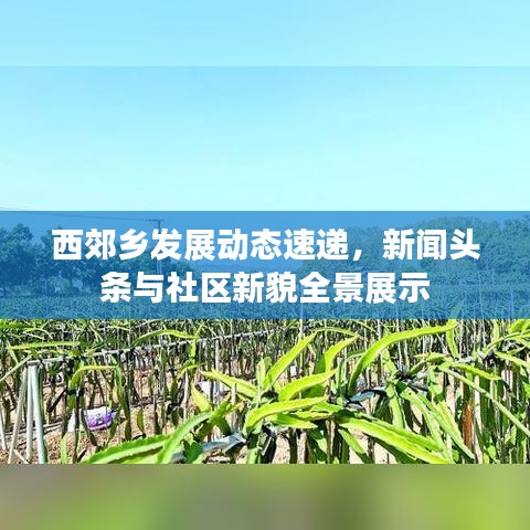 逸兴遄飞