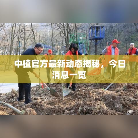 中植官方最新动态揭秘，今日消息一览