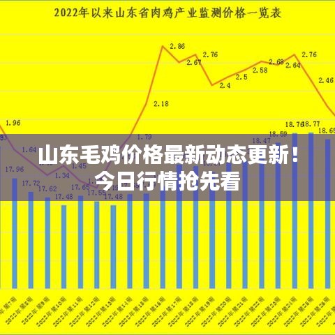 山东毛鸡价格最新动态更新！今日行情抢先看