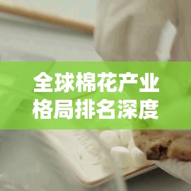 全球棉花产业格局排名深度解析